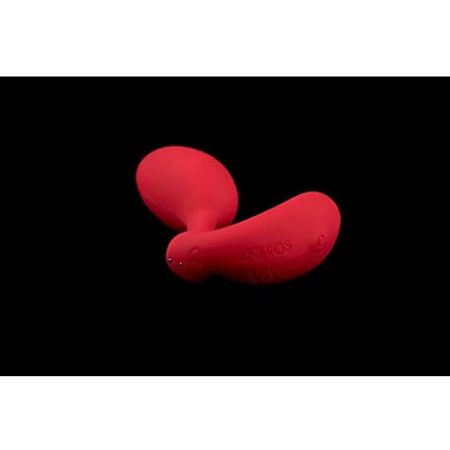 n11040-aneros-vivi-3